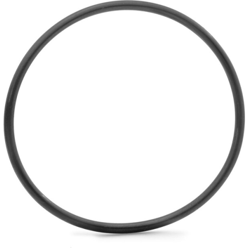 Bosch O-ring (BDU4XX) 1270016119