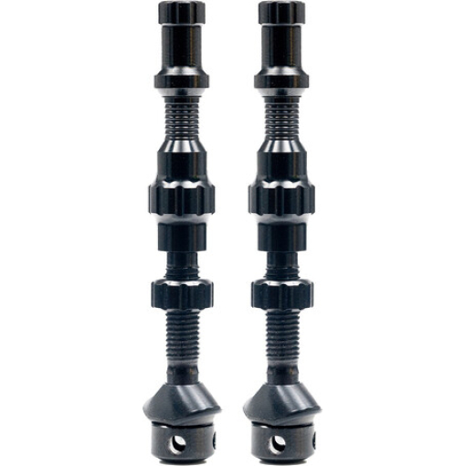 NoTubes Tubeless Exo-Core Valves