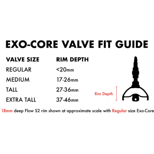 NoTubes Tubeless Exo-Core Valves - Image 6