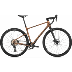 Mondraker Arid