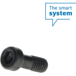 Bosch Purion 400 Screw