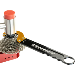 Enduro Bearings Chainless Cassette Whip